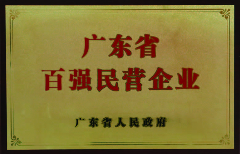 廣東省百強民營（yíng）企業