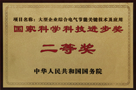 國家科學科技（jì）進步獎二等獎